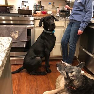 Meet your Posher, Kaylee